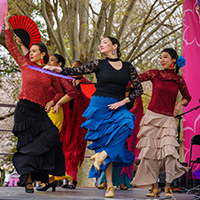 Dancers